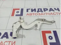 Петля капота левая Toyota Corolla Verso (AR10) 53420-0F010