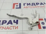 Петля капота левая Toyota Corolla Verso (AR10) 53420-0F010