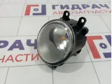 Фара противотуманная левая Toyota Corolla Verso (AR10) 81221-0F020