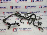 Проводка двигателя Toyota Corolla Verso (AR10) 82121-0F030