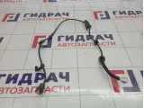 Проводка датчика ABS заднего левого Toyota Corolla Verso (AR10) 89516-0F020