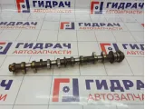 Распредвал впускной Toyota Corolla Verso (AR10) 13501-0D021