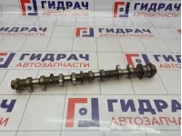 Распредвал впускной Toyota Corolla Verso (AR10) 13501-0D021