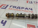 Распредвал впускной Toyota Corolla Verso (AR10) 13501-0D021