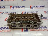 Головка блока Toyota Corolla Verso (AR10) 11101-0D030