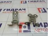 Петли двери передней правой Toyota Corolla Verso (AR10)