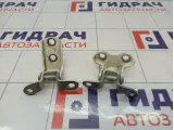Петли двери задней левой Toyota Corolla Verso (AR10)