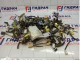 Фишка (разъем) Toyota Corolla Verso (AR10)