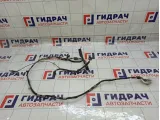 Проводка двери багажника Toyota Corolla Verso 821850F020