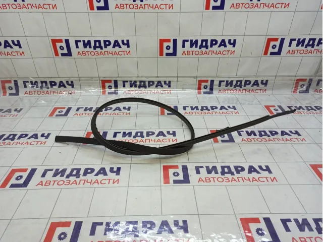 Молдинг крыши левый Toyota Corolla Verso 755560F020