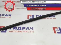 Накладка стекла двери передняя левая Toyota Estima 2 75956-28010.