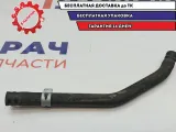 Шланг тормозной Toyota Highlander 2 47234-48160. От бачка к цилиндру.