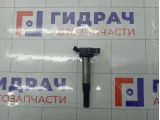 Катушка зажигания Toyota Highlander 9091902255