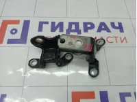 Петли двери задней левой Toyota Highlander 6876020121