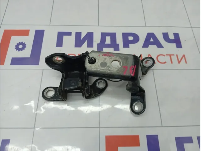 Петли двери задней левой Toyota Highlander 6876020121