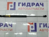 Амортизатор задний стекла крышки багажника Toyota Highlander 6894048011