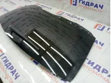 Стекло заднее Toyota Highlander 6810548440