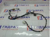 Проводка крышки (двери) багажника Toyota Highlander 8218448400
