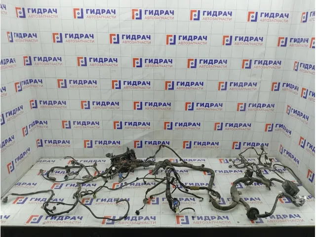 Проводка подкапотная Toyota Highlander 8211148T01