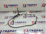 Проводка двери багажника Toyota Highlander 8218448371