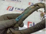 Проводка двери багажника Toyota Highlander 8218448371