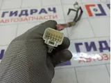 Проводка консоли Toyota Highlander 8216648010