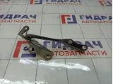 Петля капота левая Toyota Highlander 5342048070