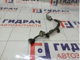 Проводка датчика детонации Toyota Highlander 8221941010