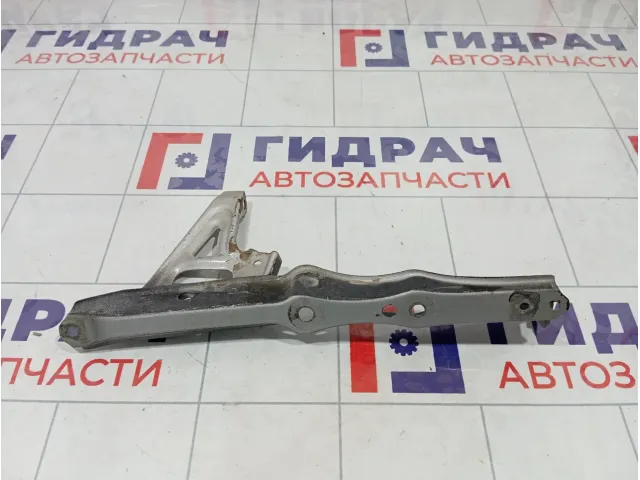 Кронштейн замка капота Toyota Land Cruiser (J100) 53209-60090