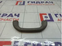 Ручка внутренняя потолочная Toyota Land Cruiser (J100) 74610-60070-B0
