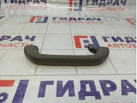 Ручка внутренняя потолочная Toyota Land Cruiser (J100) 74610-60091-B0