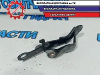 Петля капота левая Toyota Land Cruiser 100 53420-60040.