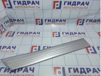 Молдинг задней правой двери Toyota Land Cruiser (J100) 75741-60160-E0