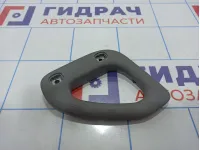 Ручка внутренняя потолочная левая Toyota Land Cruiser (J100) 74630-60041