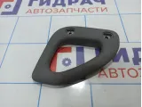 Ручка внутренняя потолочная правая Toyota Land Cruiser (J100) 74630-60041