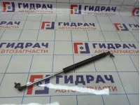 Амортизатор капота левый Toyota Land Cruiser (J100) 53450-69025