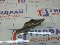Петля капота правая Toyota Land Cruiser (J100) 53410-60050