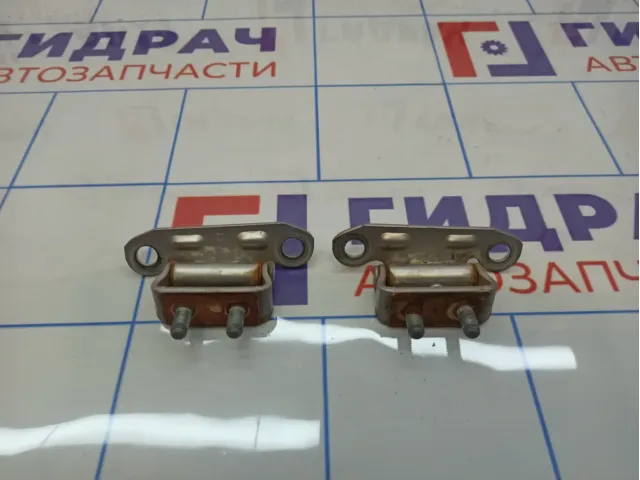 Петли двери багажника Toyota Land Cruiser (J100)