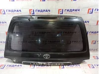Дверь багажника Toyota Land Cruiser 6700560830