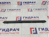 Уплотнитель стекла заднего левого Toyota Land Cruiser Prado (J150) 68174-60060