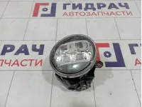 Фара противотуманная правая Toyota Land Cruiser Prado (J150) 81210-48051