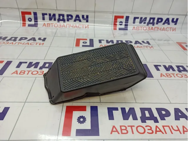 Накладка декоративная под ногу Toyota Land Cruiser Prado (J150) 58190-60170