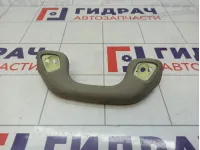 Ручка внутренняя потолочная Toyota Land Cruiser Prado (J150) 74680-60010-B0