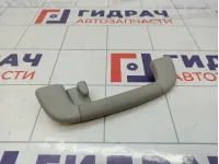 Ручка внутренняя потолочная Toyota Land Cruiser Prado (J150)