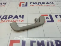 Ручка внутренняя потолочная Toyota Land Cruiser Prado (J150)