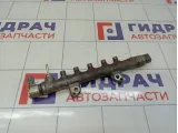 Рейка топливная (рампа) Toyota Land Cruiser Prado (J150) 23810-11031