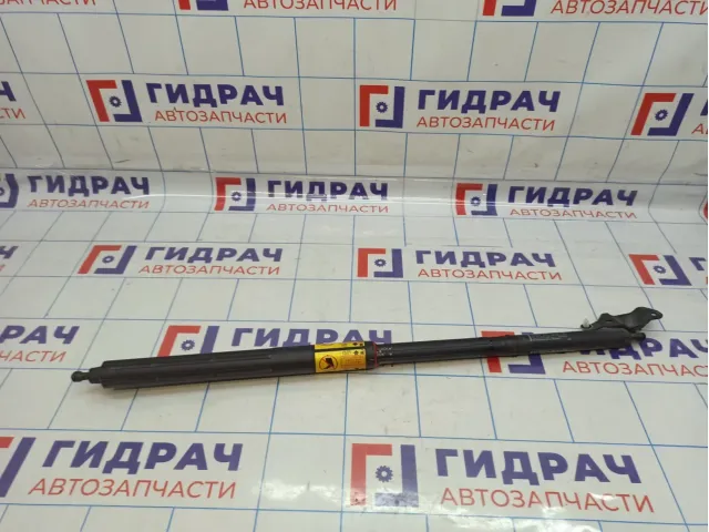 Амортизатор двери багажника Toyota Land Cruiser Prado (J150) 68650-09010