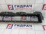 Решетка в бампер Toyota Land Cruiser Prado (J150) 53112-60090