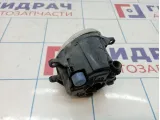 Фара противотуманная правая Toyota Land Cruiser Prado (J150) 81210-0W050