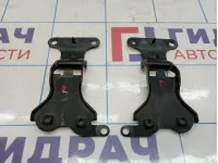 Петли стекла двери багажника Toyota Land Cruiser Prado (J150) 68810-60051
